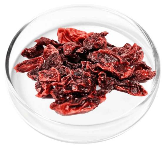 Digestistart ingredient image 10