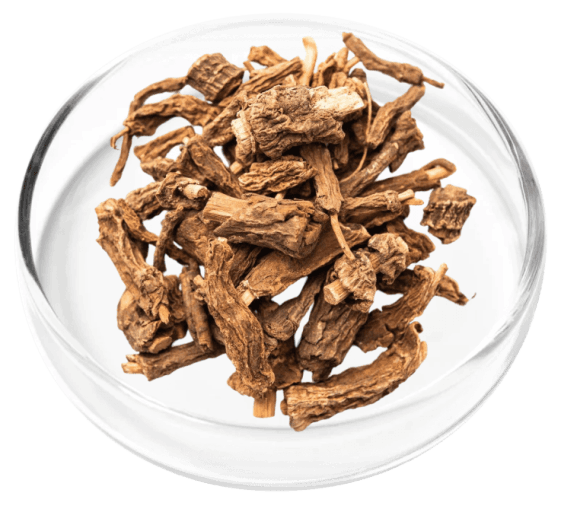 Digestistart ingredient image 2