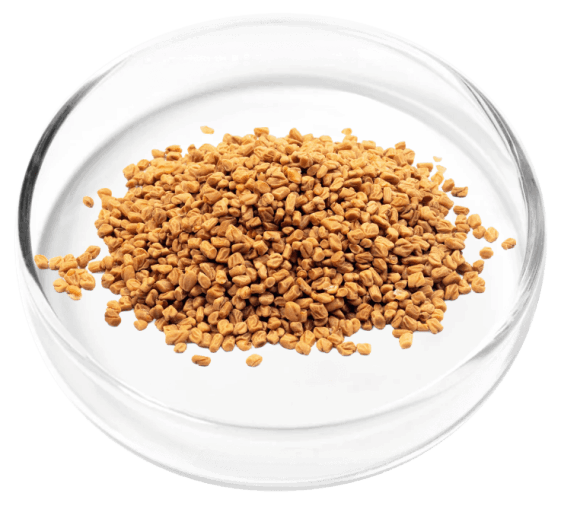 Digestistart ingredient image 3