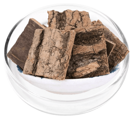 Digestistart ingredient image 4