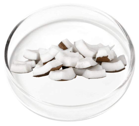 Digestistart ingredient image 5