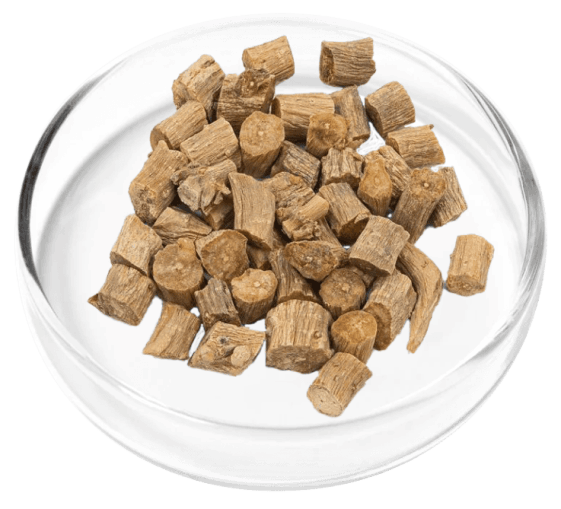 Digestistart ingredient image 6