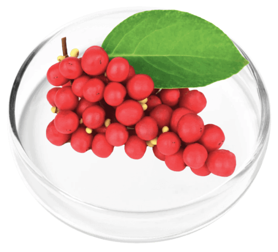 Digestistart ingredient image 9