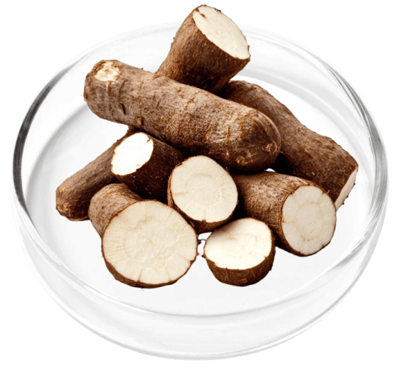 Digestistart ingredient image 1